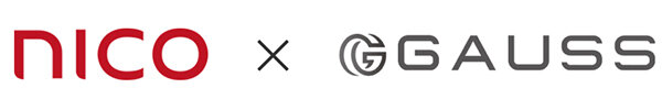 2019gauss.jpg